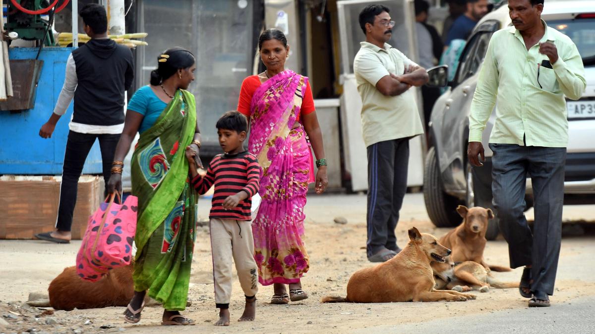 Canine trouble on streets GHMC panel puts forth slew of suggestions to
